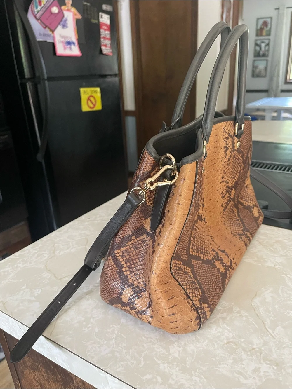 Coach Snake Margo Carryall Crossbody Shoulder Bag F35275 (180)